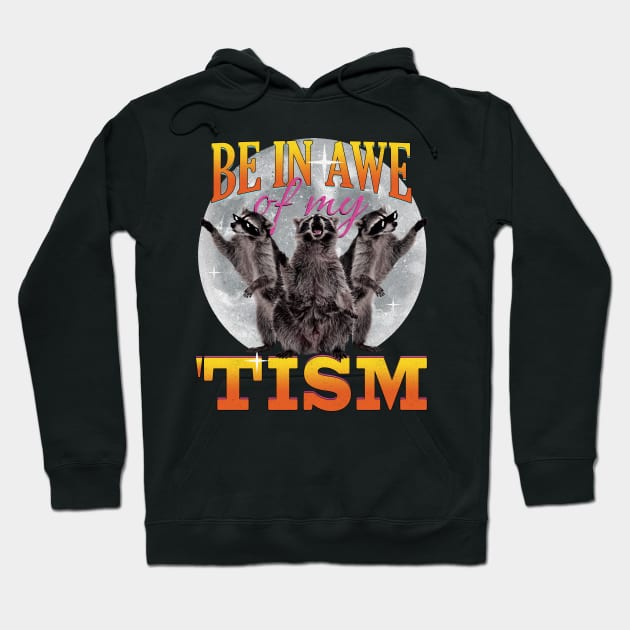 Be In Awe Of My 'Tism Funny 3 Raccoon Moon Raccoons Howling Hoodie by badCasperTess